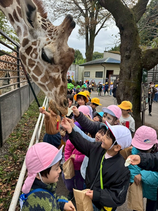 小山市の幼稚園 つぼみキンダーガーテン