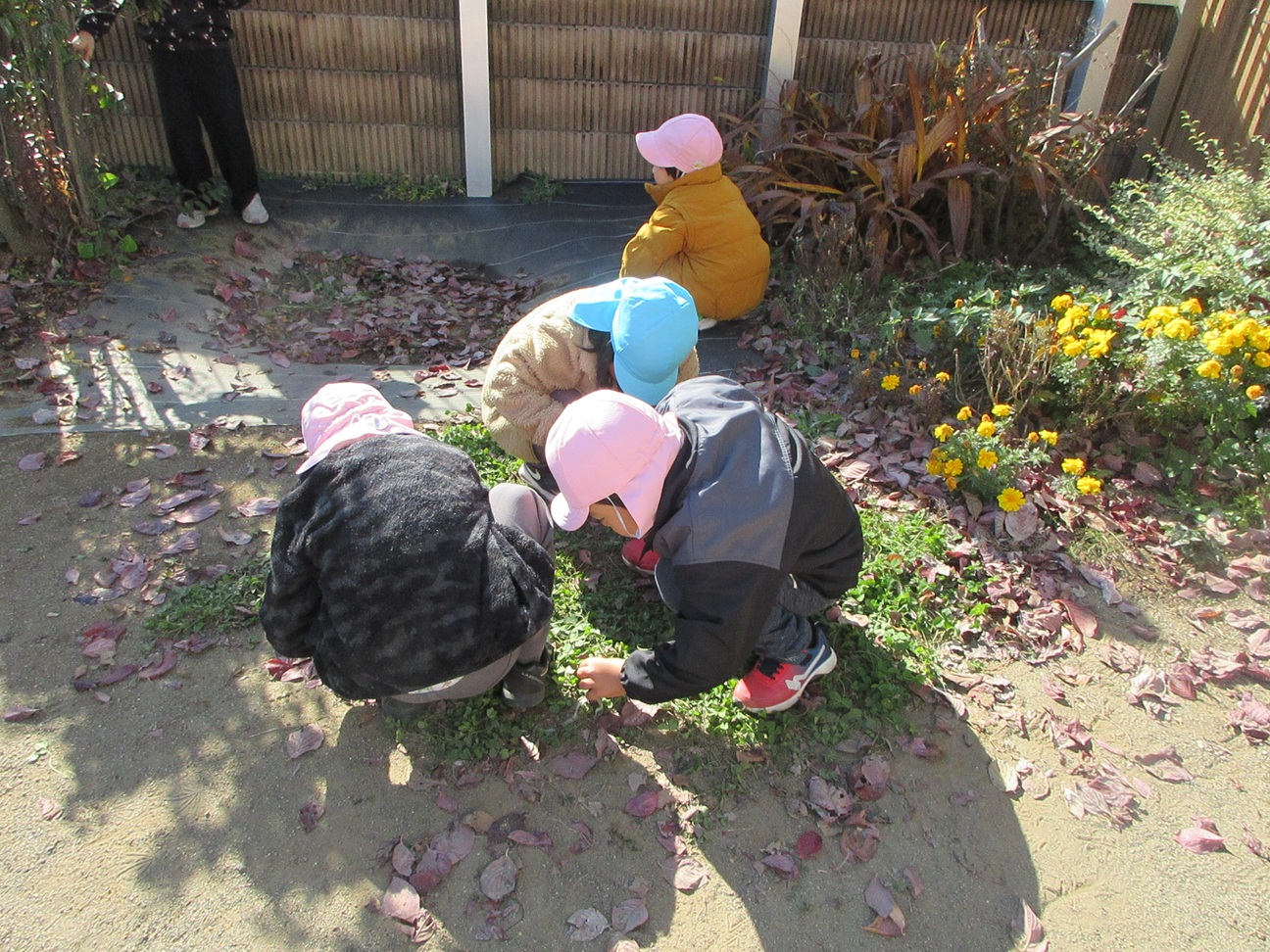 小山市の幼稚園 つぼみキンダーガーテン